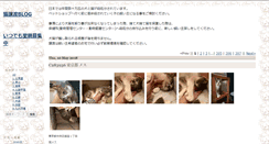 Desktop Screenshot of cats.satoya-boshu.net