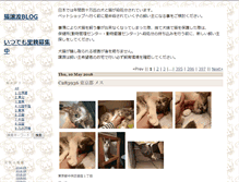 Tablet Screenshot of cats.satoya-boshu.net